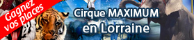 jeu places gratuites Cirque Maximum